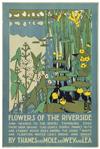 EDWARD MCKNIGHT KAUFFER (1890-1954). [FLOWERS AND FORESTS.] Two posters. 1920. Each approximately 30x20 inches, 76x51 cm. The Dangerfie